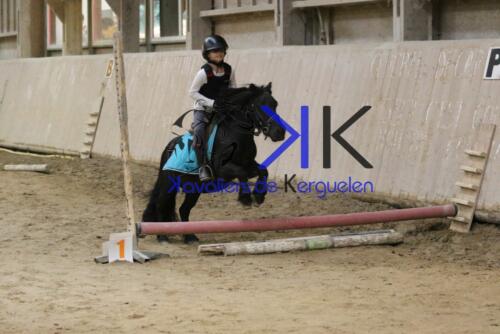 Kerguelen-equitation-1F4A4486