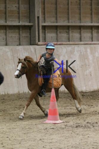 Kerguelen-equitation-1F4A4510