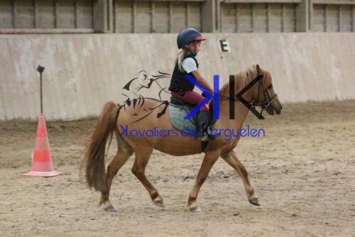 Kerguelen-equitation-1F4A4524