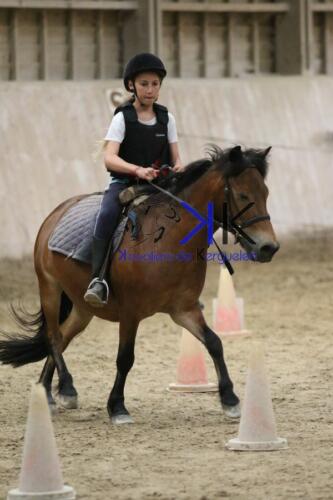 Kerguelen-equitation-1F4A4530