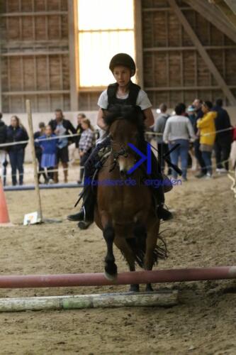 Kerguelen-equitation-1F4A4534