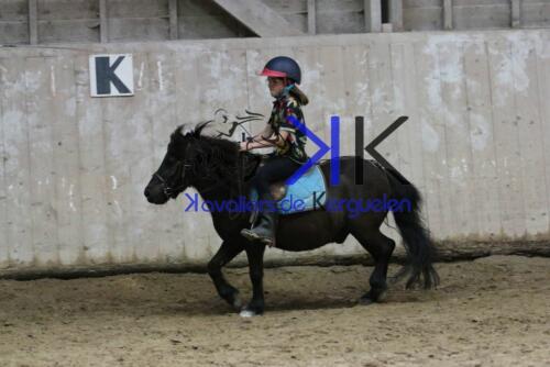 Kerguelen-equitation-1F4A4537