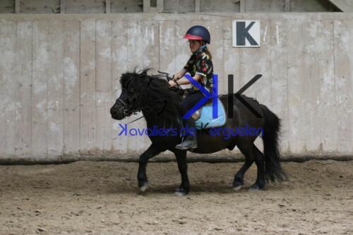 Kerguelen-equitation-1F4A4538