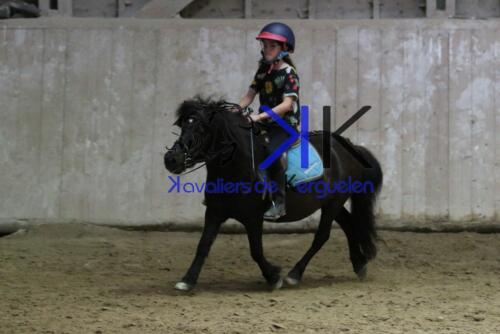 Kerguelen-equitation-1F4A4539