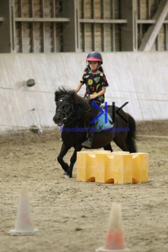 Kerguelen-equitation-1F4A4540