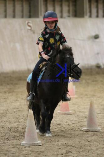 Kerguelen-equitation-1F4A4541