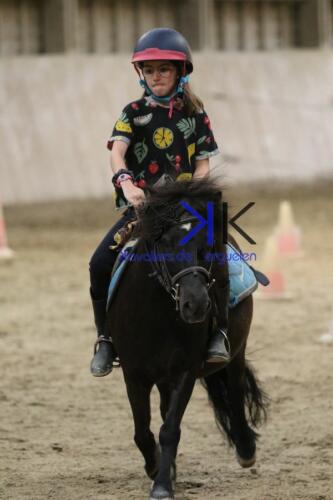 Kerguelen-equitation-1F4A4543