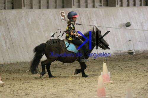 Kerguelen-equitation-1F4A4545