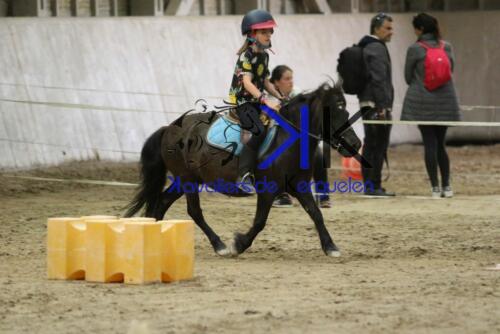 Kerguelen-equitation-1F4A4546