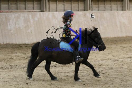 Kerguelen-equitation-1F4A4552