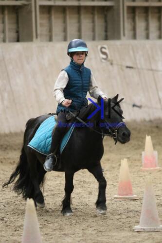 Kerguelen-equitation-1F4A4561