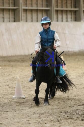 Kerguelen-equitation-1F4A4562