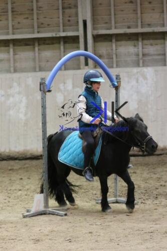 Kerguelen-equitation-1F4A4565