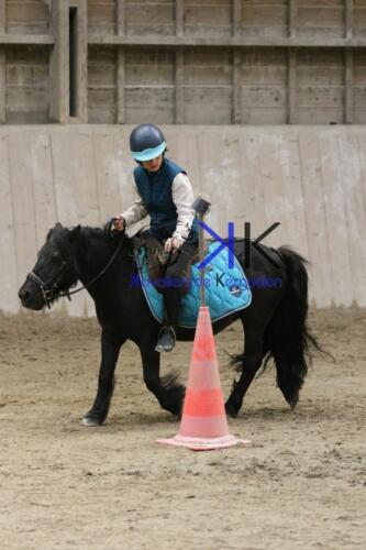 Kerguelen-equitation-1F4A4567