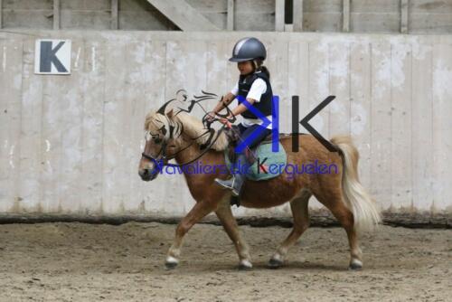 Kerguelen-equitation-1F4A4568