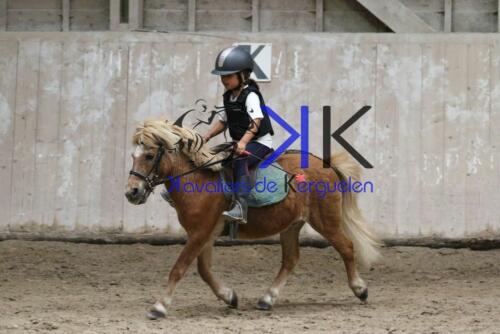 Kerguelen-equitation-1F4A4569