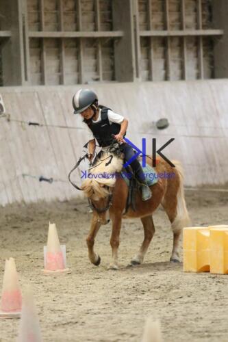 Kerguelen-equitation-1F4A4571