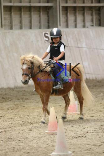 Kerguelen-equitation-1F4A4572