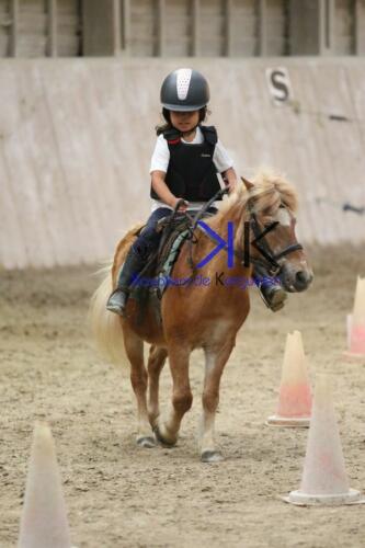 Kerguelen-equitation-1F4A4573