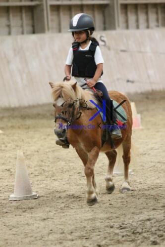 Kerguelen-equitation-1F4A4574