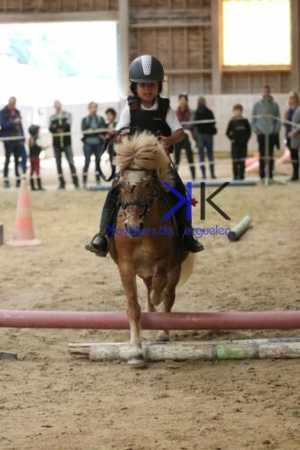 Kerguelen-equitation-1F4A4576