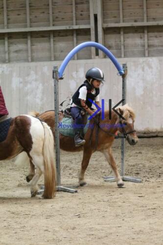 Kerguelen-equitation-1F4A4577