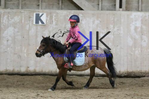 Kerguelen-equitation-1F4A4579