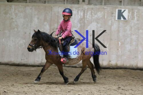 Kerguelen-equitation-1F4A4580