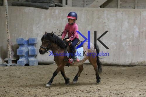 Kerguelen-equitation-1F4A4581