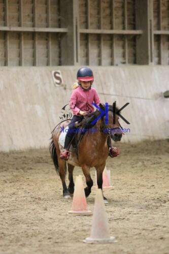 Kerguelen-equitation-1F4A4583