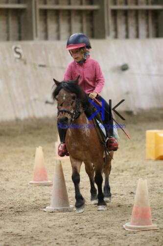 Kerguelen-equitation-1F4A4584