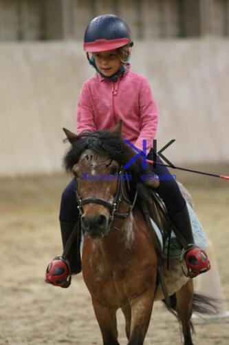 Kerguelen-equitation-1F4A4585