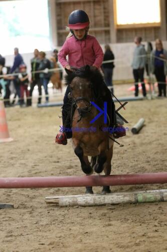 Kerguelen-equitation-1F4A4586