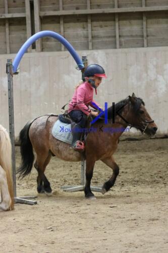 Kerguelen-equitation-1F4A4587