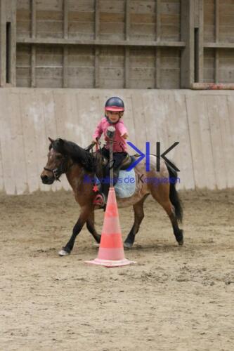 Kerguelen-equitation-1F4A4588