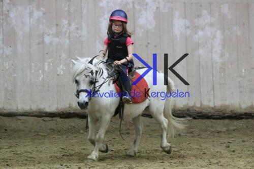 Kerguelen-equitation-1F4A4590