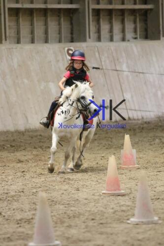 Kerguelen-equitation-1F4A4591