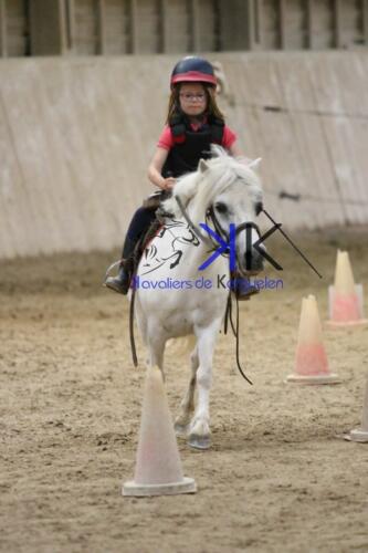 Kerguelen-equitation-1F4A4593