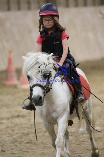 Kerguelen-equitation-1F4A4594