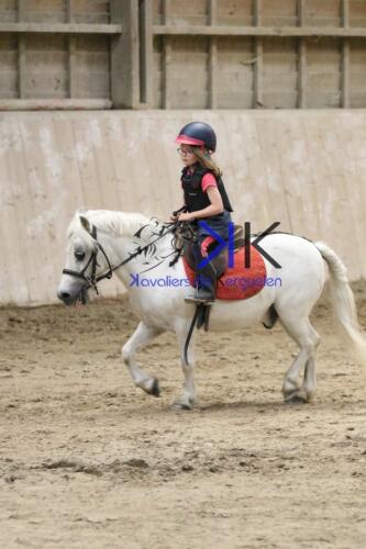 Kerguelen-equitation-1F4A4597