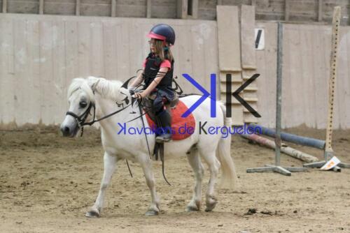 Kerguelen-equitation-1F4A4598