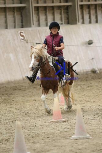 Kerguelen-equitation-1F4A4601