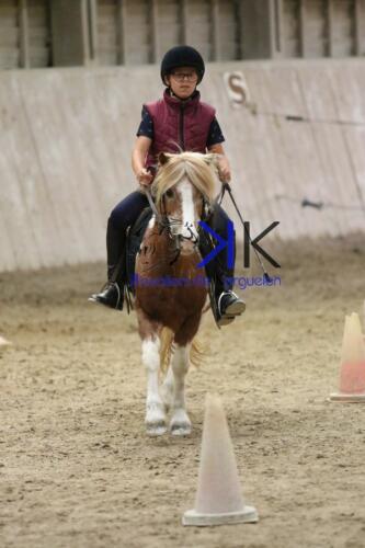 Kerguelen-equitation-1F4A4602