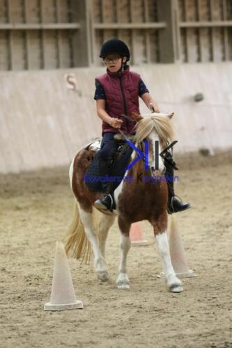 Kerguelen-equitation-1F4A4603