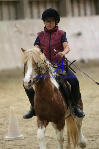 Kerguelen-equitation-1F4A4604