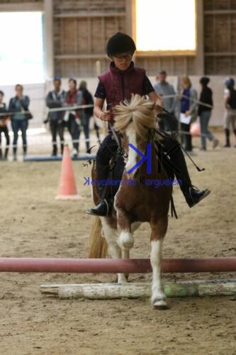 Kerguelen-equitation-1F4A4606