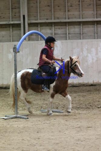 Kerguelen-equitation-1F4A4607