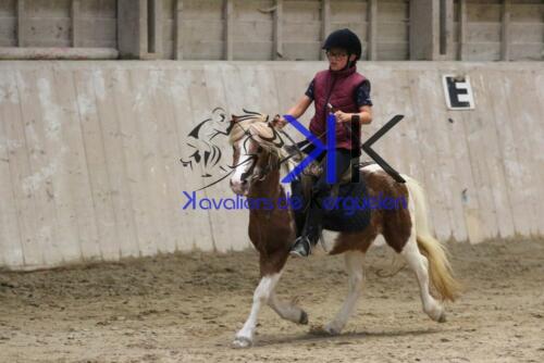 Kerguelen-equitation-1F4A4610