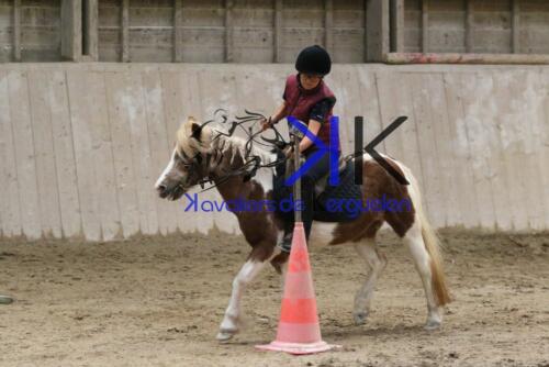 Kerguelen-equitation-1F4A4611