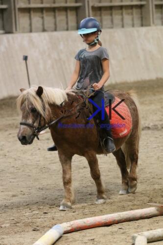 Kerguelen-equitation-1F4A4613